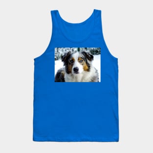 miniature american shepherd blue merle third Tank Top